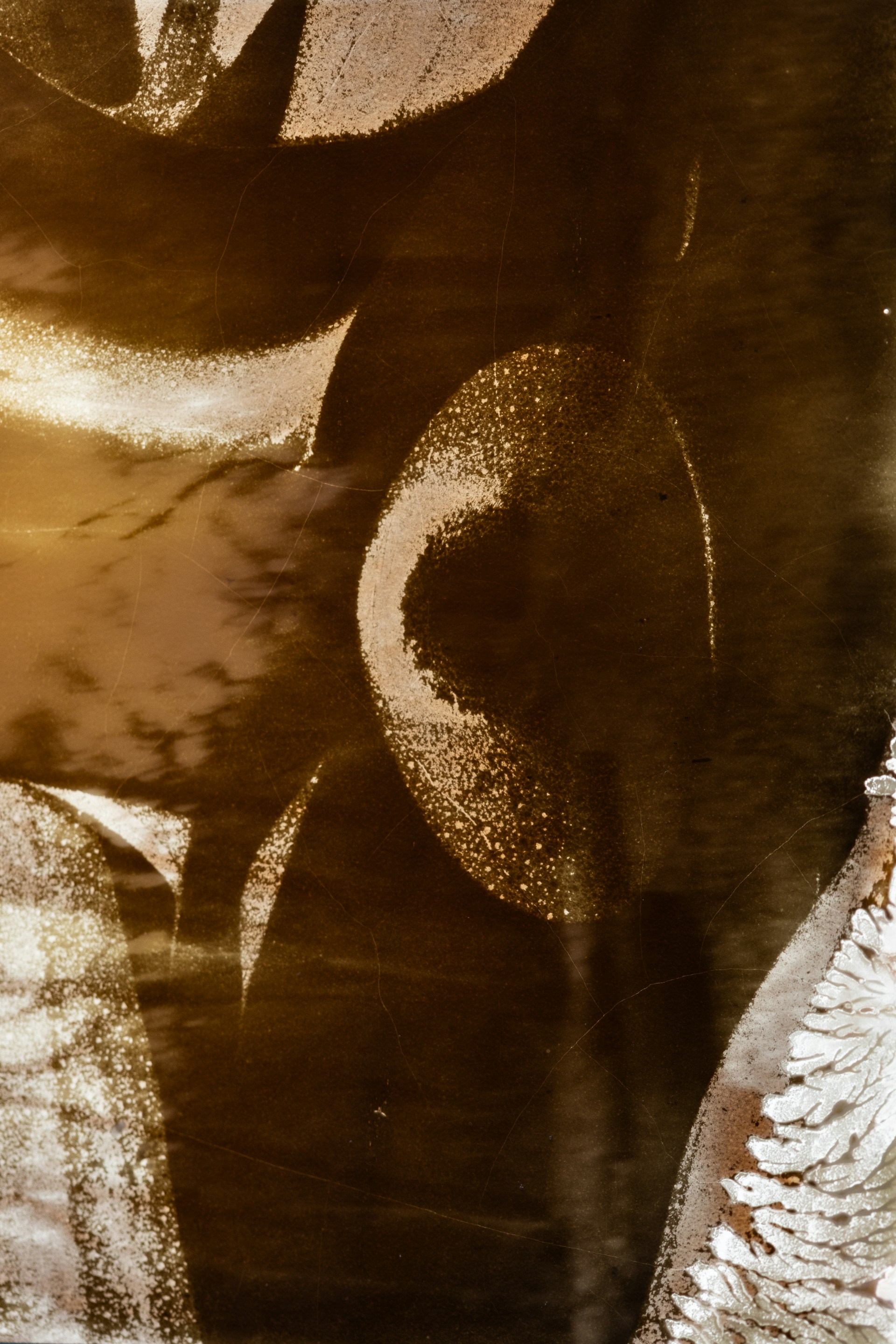 Light-filled atelier